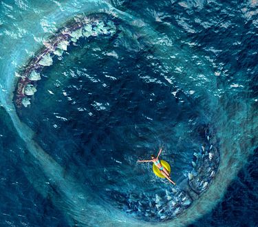 Shark - Il primo squalo