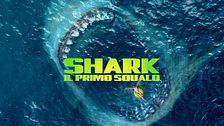 Shark - Il primo squalo