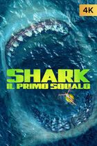 Shark - Il primo squalo