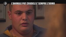 NINA: L'animale più crudele è sempre l'uomo
