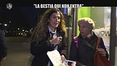 NINA: La bestia qui non entra