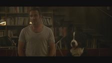 Trailer - Un amore all'altezza