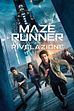 Trailer - Maze runner: la rivelazione
