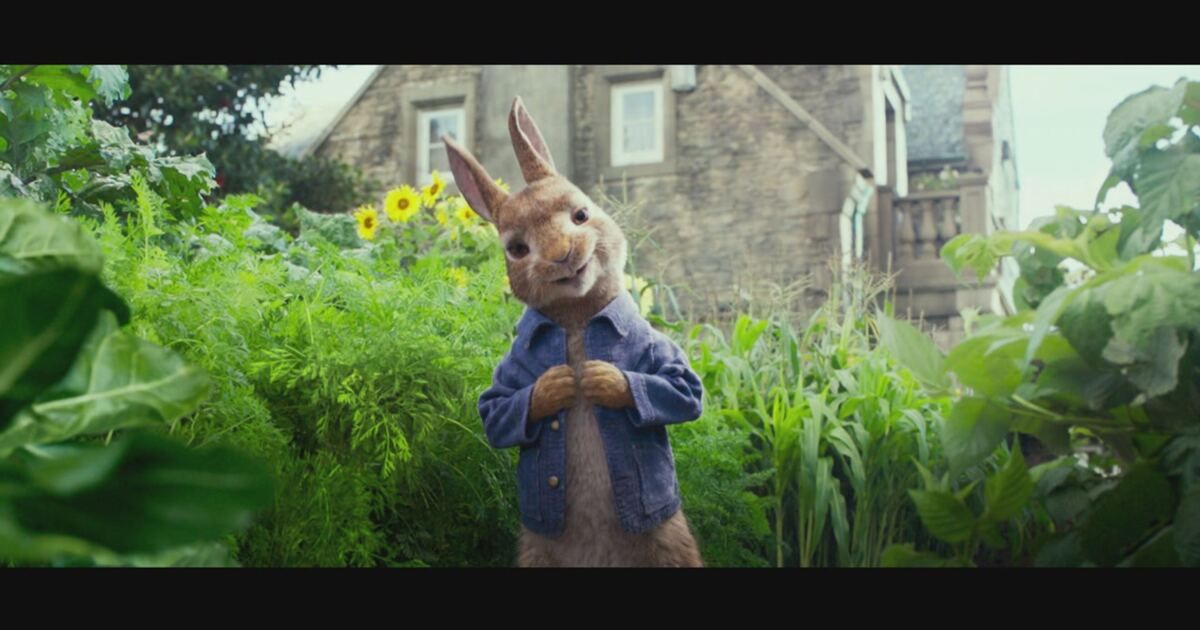 Trailer - Peter rabbit | Mediaset Infinity