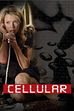Trailer - Cellular