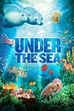Trailer - Under the sea