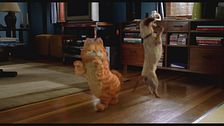 Trailer - Garfield-il film