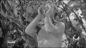 Da "Tarzan" a "Marcellino Pane e Vino"