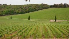 Lunedì 21 maggio
