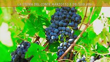 La storia del conte Marzotto e dei suoi vini