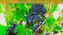 La storia del conte Marzotto e dei suoi vini