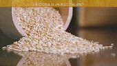 La storia di un riso italiano