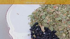 Le virtù del mirto