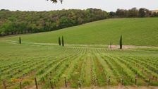 Alla scoperta di Riparbella