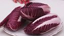 Il radicchio