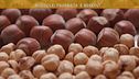 Le virtù della nocciola