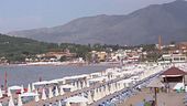 Polpo alla traettese