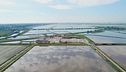 Cervia: le cose da non perdere