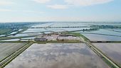 Cervia: le cose da non perdere