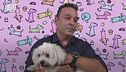 Una giornata da cani