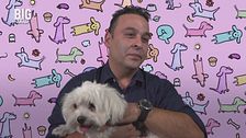 Una giornata da cani