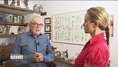 Salta il taglio dei vitalizi?