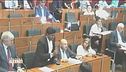 Il consigliere extracomunitario