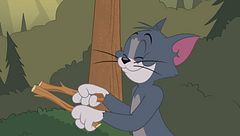 Occhio di lince e vista d'aquila