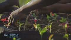 Agricoltura biologica