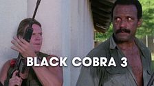 Black cobra 3