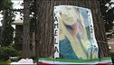 Macerata, dopo la morte di Pamela