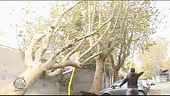 Roma, fronde pericolose