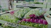 L'insalata in busta