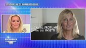 Aut aut agli insetti