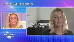 Aut aut agli insetti