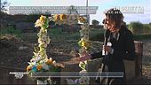 Lorys Stival: sparita la lapide