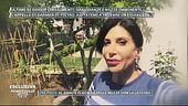 L'appello di Carmen Di Pietro
