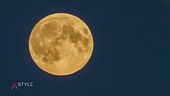 "Guarda che luna!"
