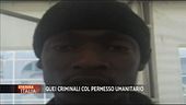 Criminali col permesso umanitario