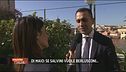 Di Maio avverte Salvini