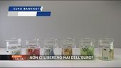 Gli Euro indistruttibili