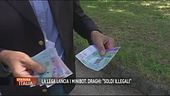 La Lega lancia i minibot