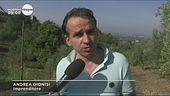 La guerra del fisco