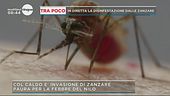 Febbre da paura