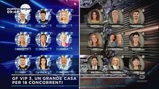 GF Vip 3, la serata