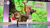 Dalla parte degli animali