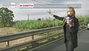 Allerta meteo