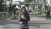 Da Rapallo, distrutto il porto