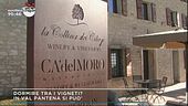 Dormire tra i vigneti?