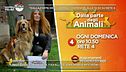 "Dalla parte degli animali"